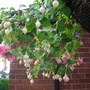 Grow_on_you_questions_008
