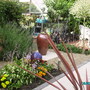 Imgp0519