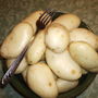 Potsinbowl