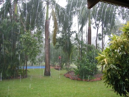 Tropical downpour.