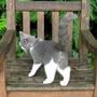 'I'm a boy cat!'