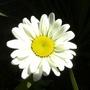 14_jul_08_002