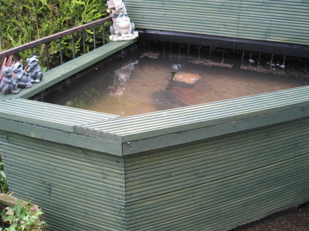 New pond