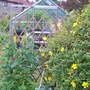 101_7517