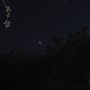 Gar26_005