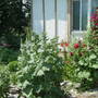 garden left