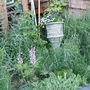 house garden side