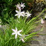 Dscn0964