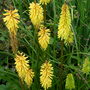 Dscn0966
