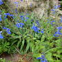 Dscn0970