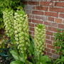 Dscn0968
