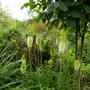 Dscn0967