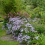 Dscn0965