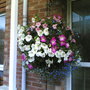 FRONT DOOR BASKET