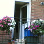 BACK DOOR BASKETS