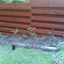NEW BACK DOOR ROSE BED