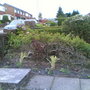 NEW FRONT DOOR BORDER