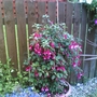 FUSHAI
