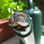 Snail