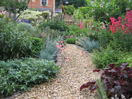 Front garden 1 - 26th June 2007