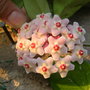 Dscn2830