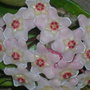 Dscn2838