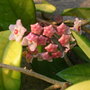 Dscn2825