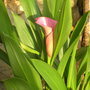 Dscn2813