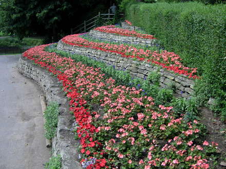 Municipal Planting