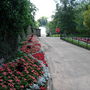 Dscn1786