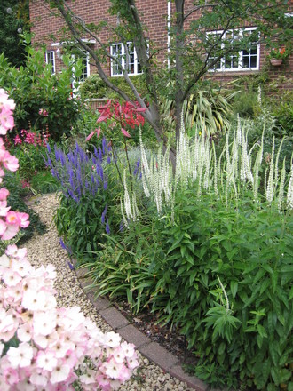 Front garden 2 - 26th June 2007