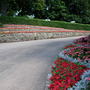 Dscn1788