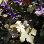 Dscn1789