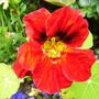 15_jul_08_009
