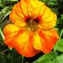 15_jul_08_018