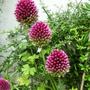 15_jul_08_012