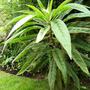 15_jul_08_011