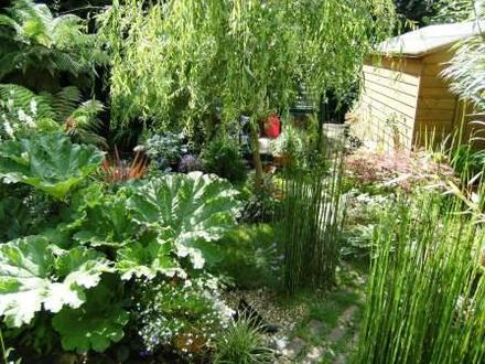 towards the shed and greenhouse.
