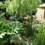15_jul_08_022