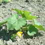 Dscf0002