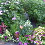 Garden_003