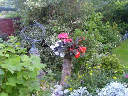 what to do with an old tree stump