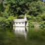 Trevarno lake