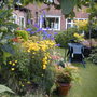 July08_3__024