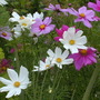 July08_3__010