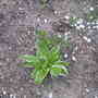 Dscn5088