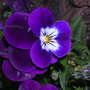 DSCN5081.jpg