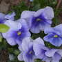 DSCN5084.jpg