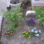 DSCN5074.jpg