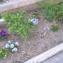 DSCN5076.jpg